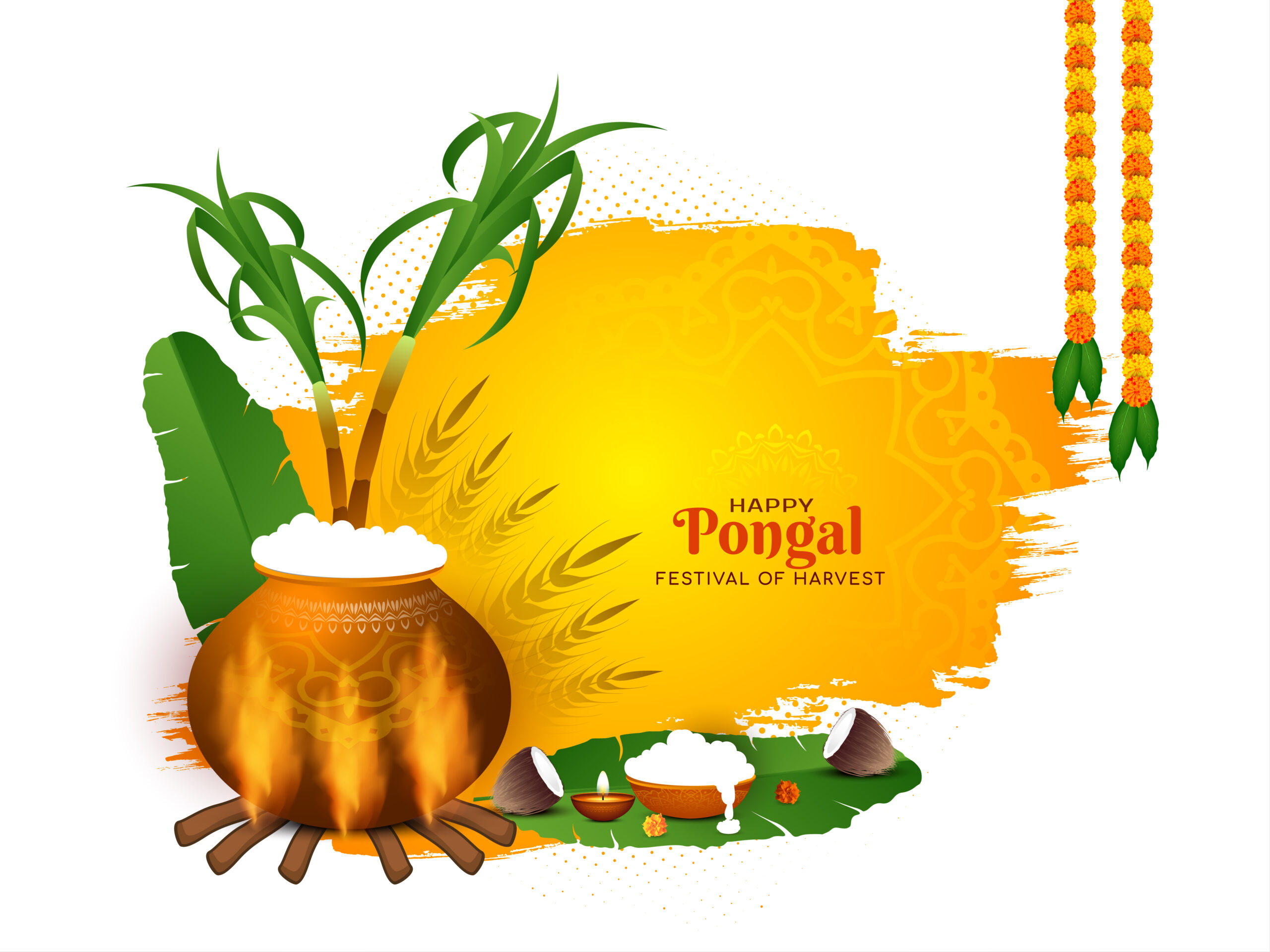 Happy Pongal Religious Festival Greeting PNG